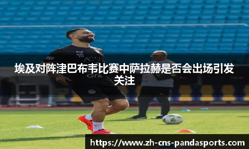 熊猫体育平台